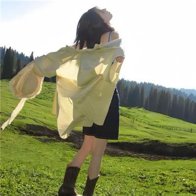 三个火枪手：达达尼昂