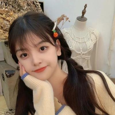 女子特案组