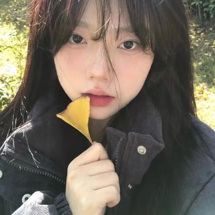 如歌的岁月