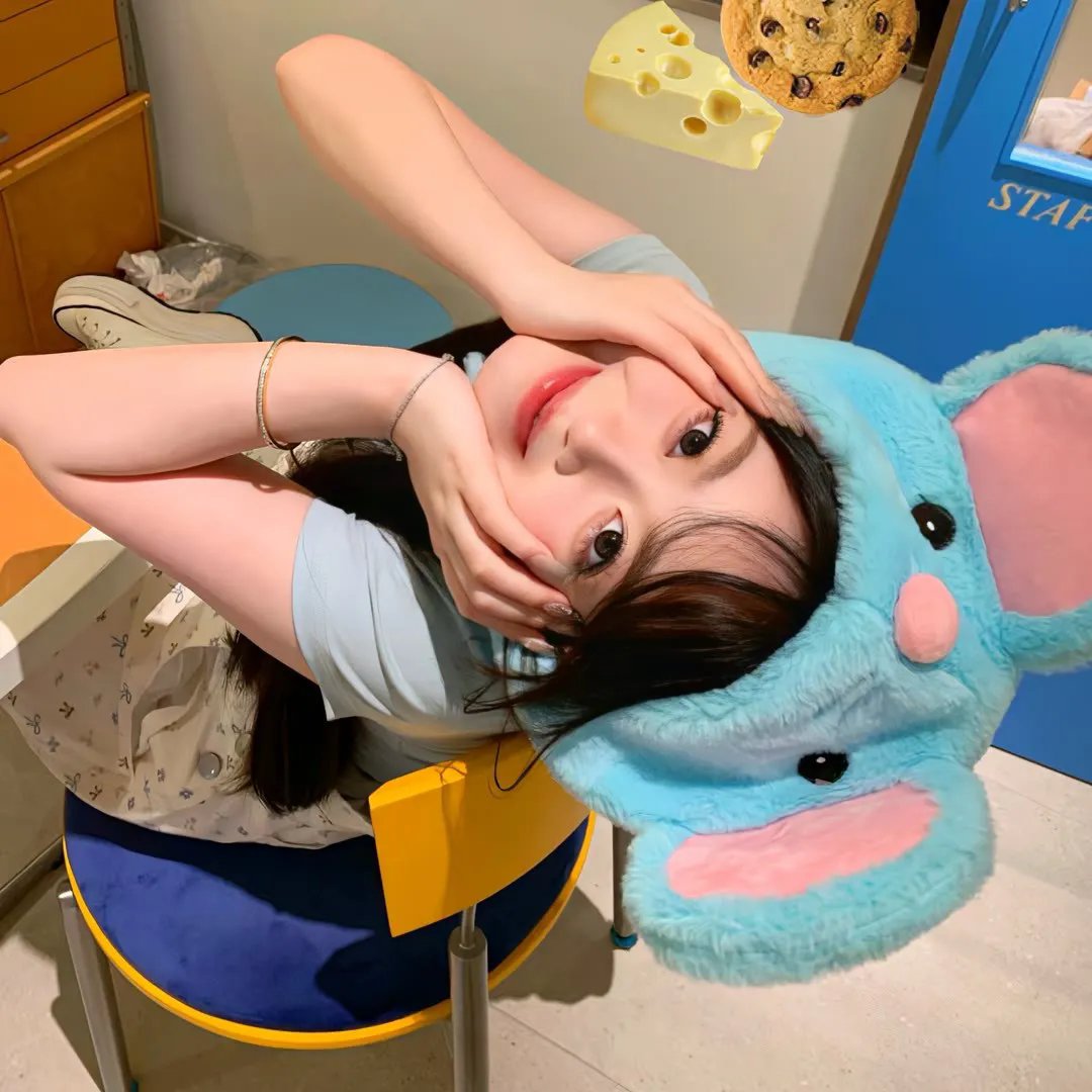 泡芙小姐第四季